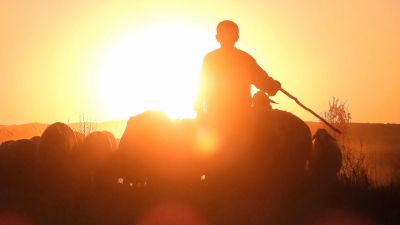 St Francis the caring shepherd: Gate, People, Word