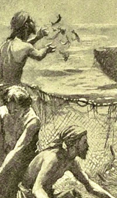 The Net, the Beautiful, and the rotten
