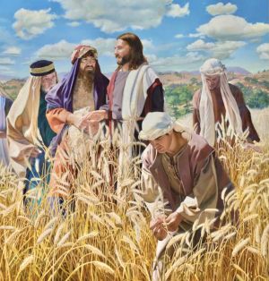 Sabbath and the primacy of life
