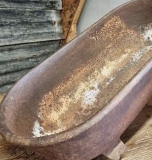 Even the animals had to 'celebrate'