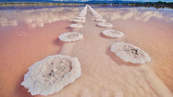 Città collocata sopra un Monte. Luce e Sale di Francesco e Chiara