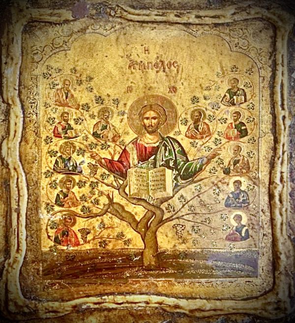 Sposare la Luce: segreto della missione!