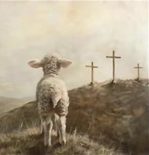 Compassion for our fellow human beings