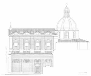THE PEACOCK’S TAIL – (by Francesco Giovannozzi, psychologist and psychotherapist)