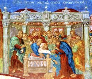 «Guarì molti che erano affetti da varie malattie»