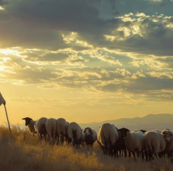 Il dovere di servire in umiltà