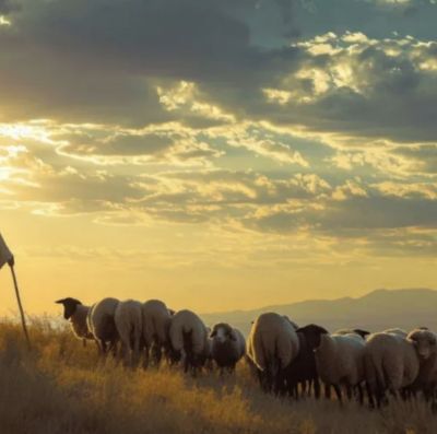 Il dovere di servire in umiltà