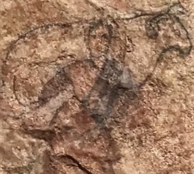 Ogni tristezza occasione di Gioia
