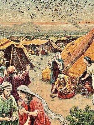14th Sunday in O.T. (year C)