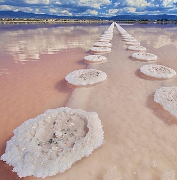 Light that makes us see. Salt that gives flavour.