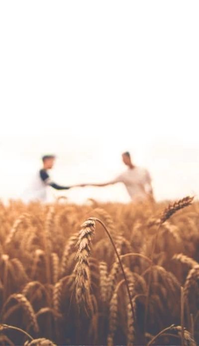 Law or hunger: conflicts of conscience