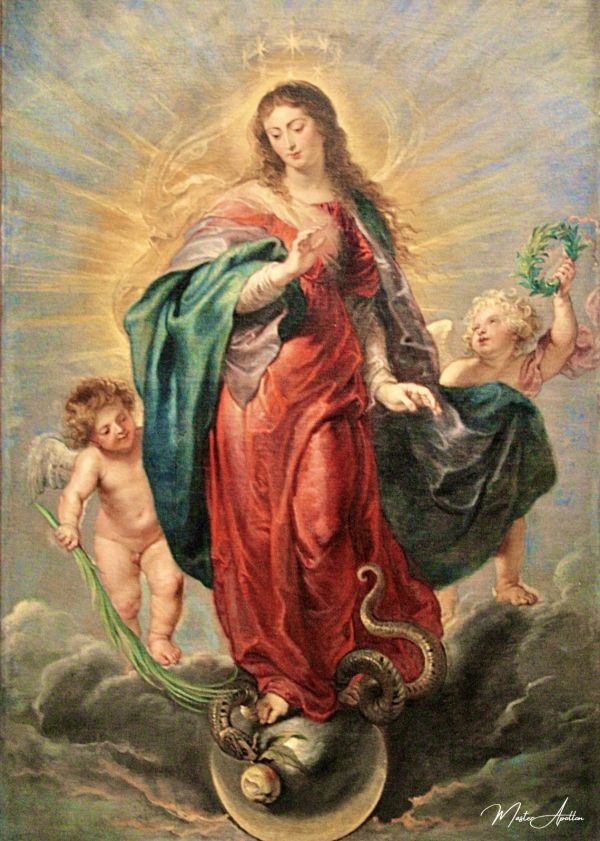 Immaculate Conception