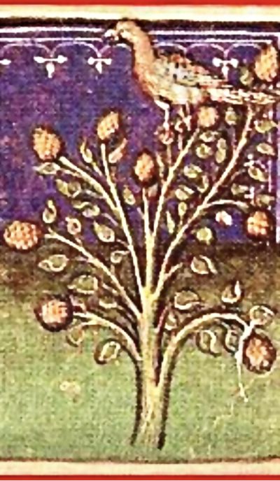 Rhythm of Nature. The evolutionary factor