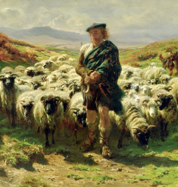 Francis the shepherd, humble and caring