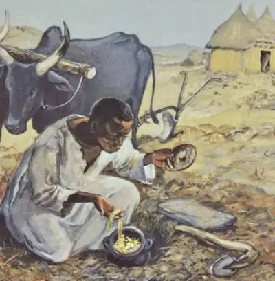 Tesoro Povertà