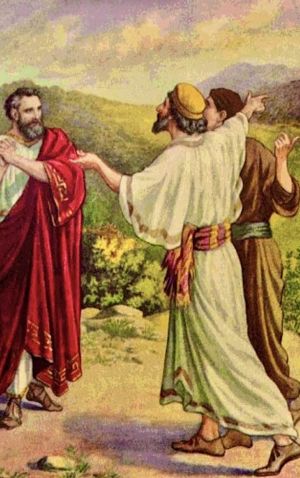 Ciò che non sapevo ci fosse: Fede, occhio nudo, garanzia