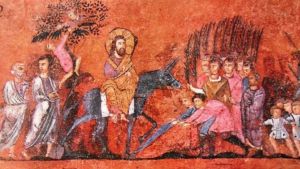 Le molte Palme, e un somarello: instabili euforie