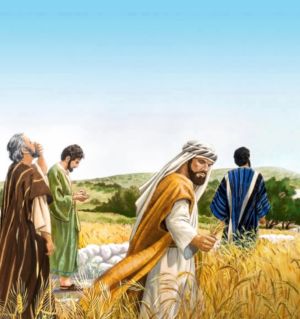 L’uomo è importante, più dei codici