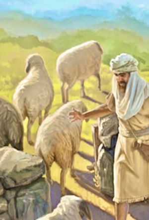 4a Domenica di Pasqua