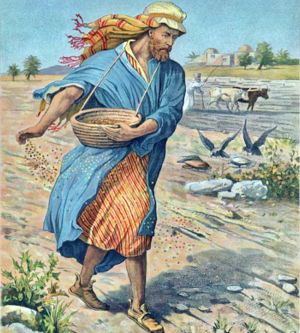 Seminatore e Terreno