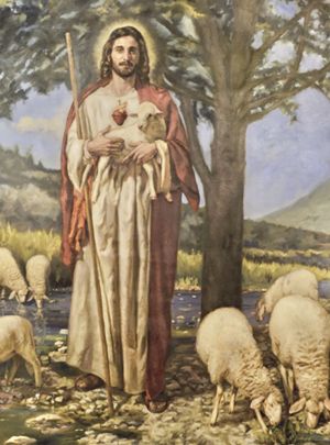 4a Domenica di Pasqua (anno C)