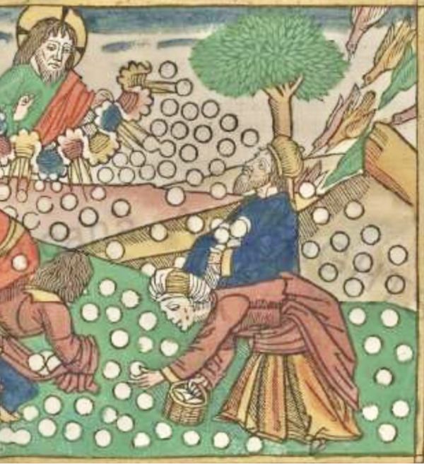 Non manna del deserto, ma il Pane di vita eterna