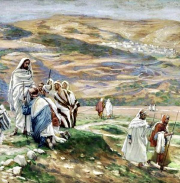Mission: lambs among wolves