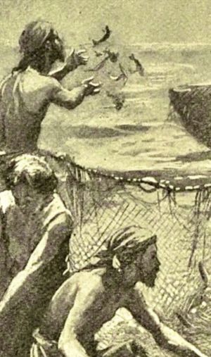 La Rete, il Bello, e il marcio