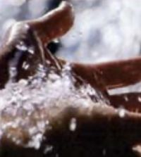 Il Padre darà Spirito Santo, non mosche