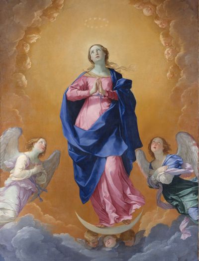 L’Immacolata Concezione, nei Testimoni