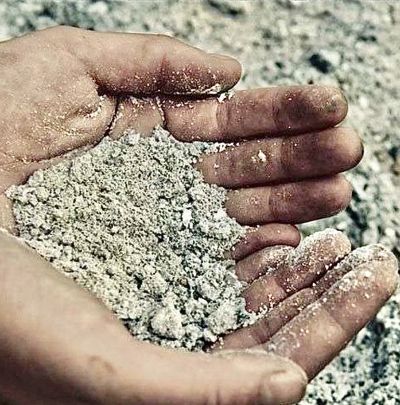 Let Charity be an example