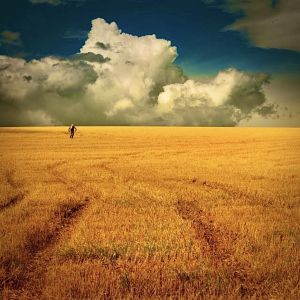 Gratuitousness: the hallmark of the Kingdom proclaimed