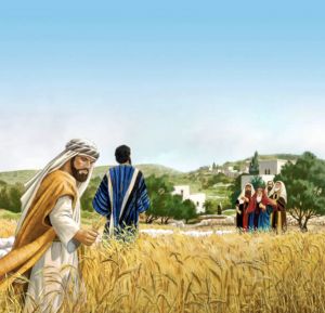 Sabbath and the primacy of life