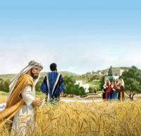 Sabbath and the primacy of life